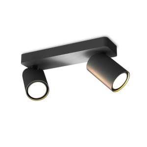 Griestu lampa SAL 2 Black 6712