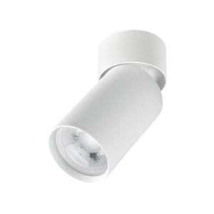 Griestu lampa White S123